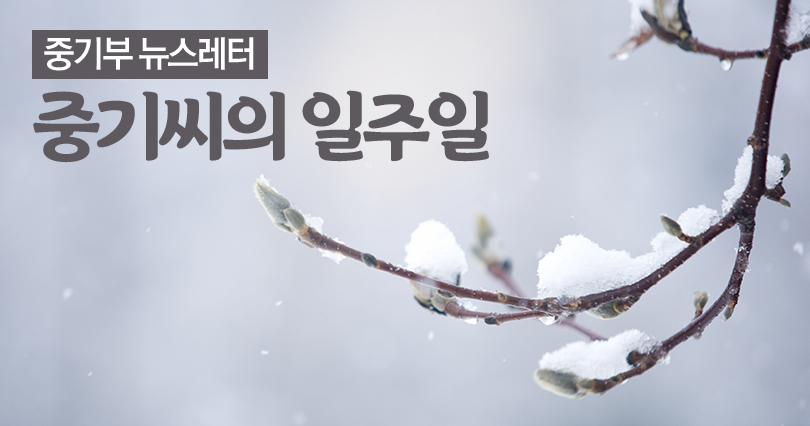 중기부 뉴스레터 중기씨의 일주일