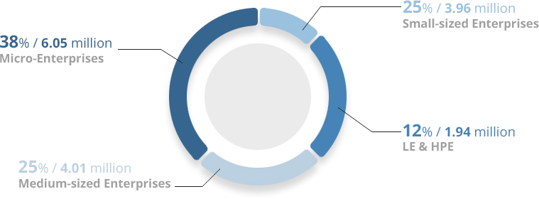 Small-sized Enterprises : 25% / 3.96 million, Micro-Enterprises : 38% / 6.05 million, LE & HPE : 12% / 1.94 million, Medium-sized Enterprises : 25% / 4.01 million